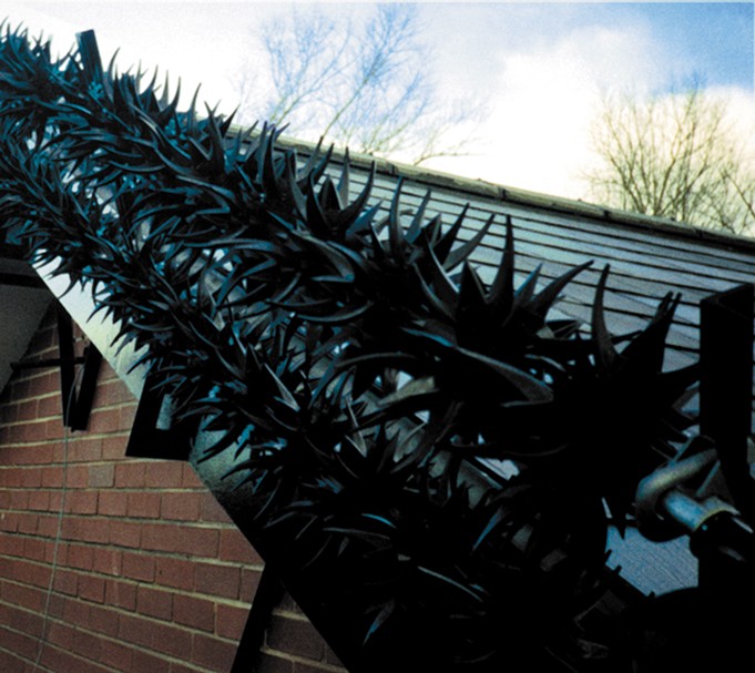 Raptor Anti-Climb Barrier